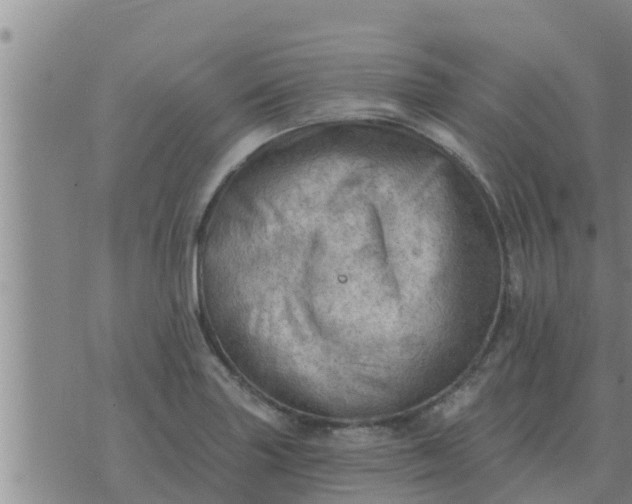 X0000074341227200609082049