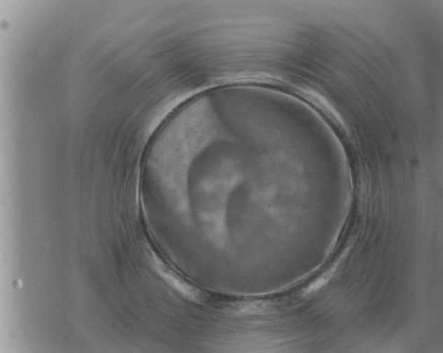 X0000074341228200609082049