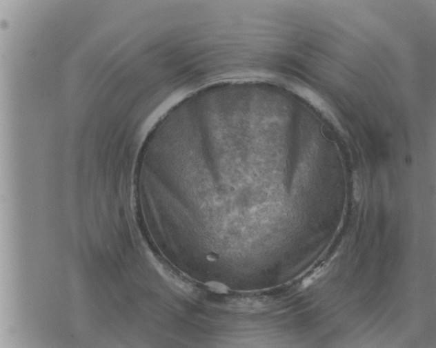 X0000074341229200609082049