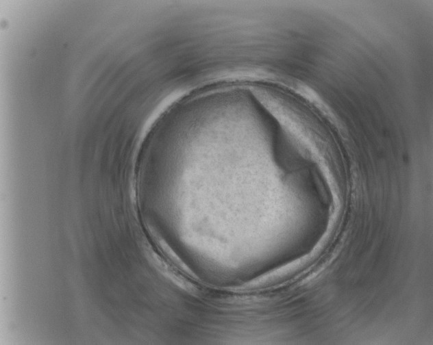 X0000074341232200609082049