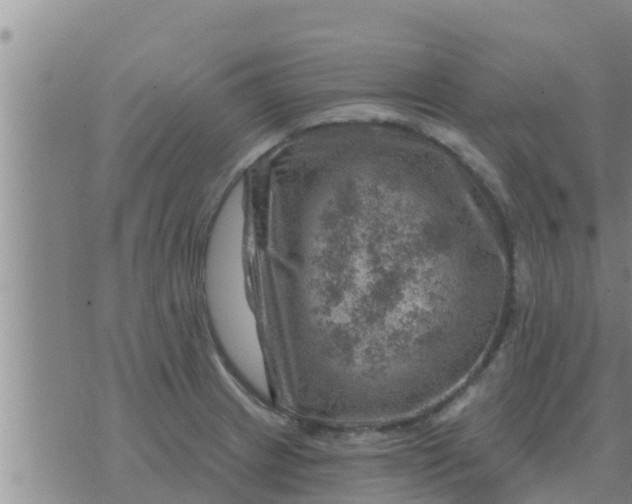 X0000074341233200609082049