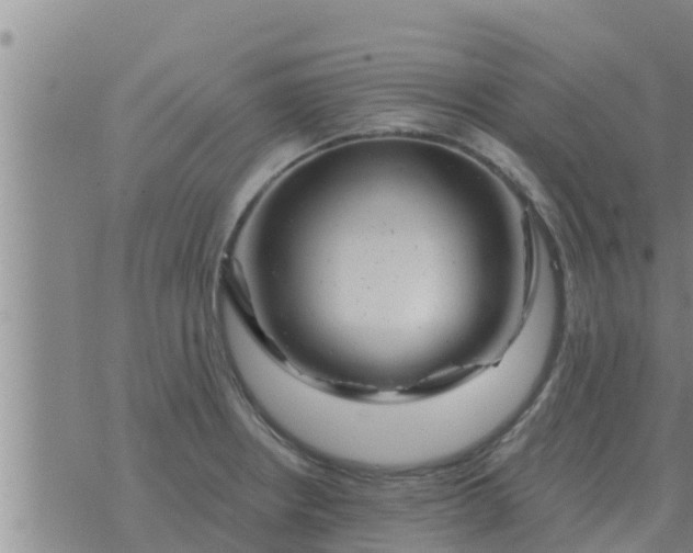 X0000074341234200609082049