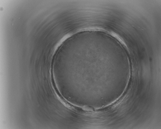 X0000074341237200609082049