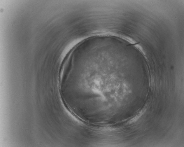 X0000074341239200609082049