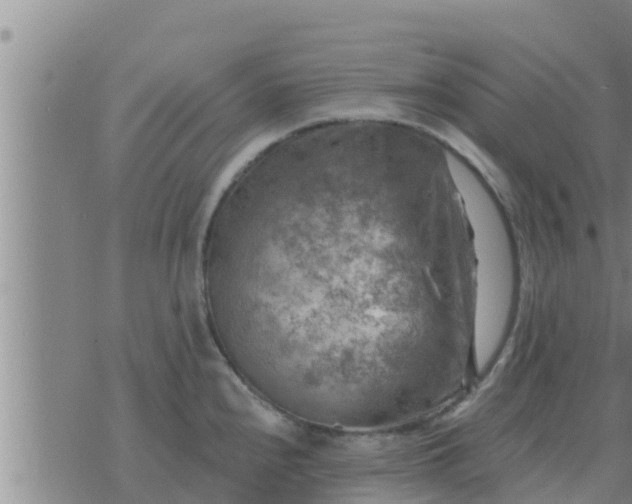 X0000074341240200609082049