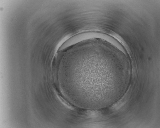 X0000074341242200609082049