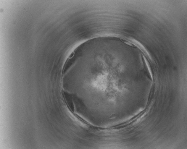 X0000074341244200609082049