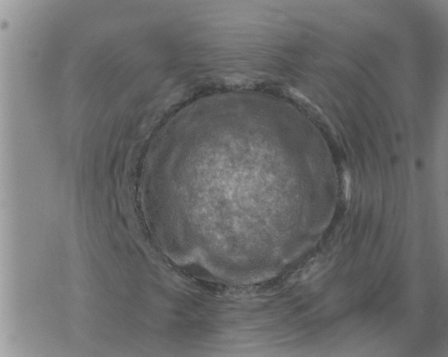 X0000074341249200609082048