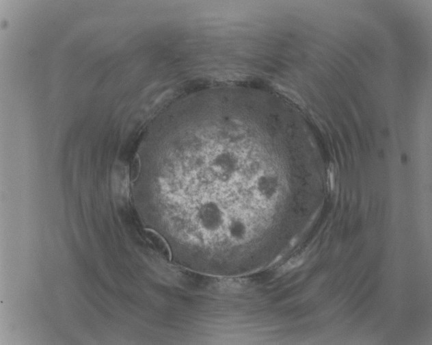 X0000074341251200609082048