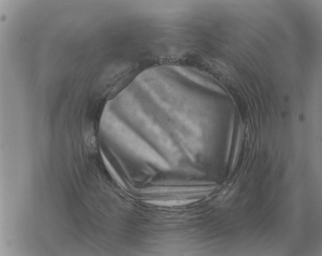 X0000074341252200609082048