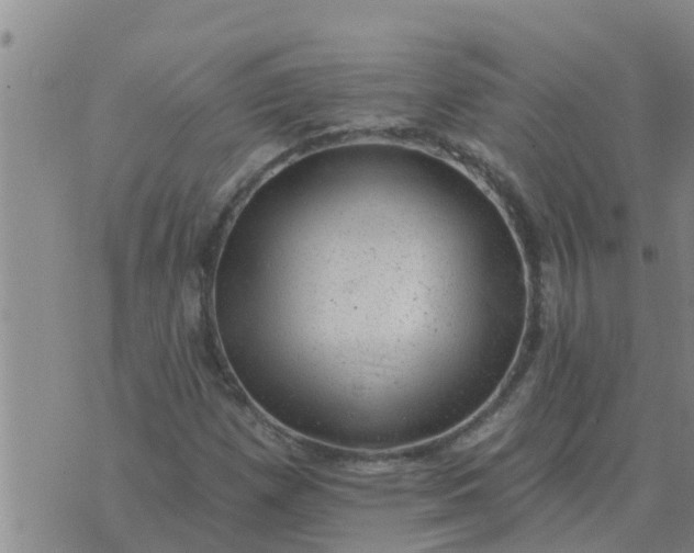 X0000074341257200609082048