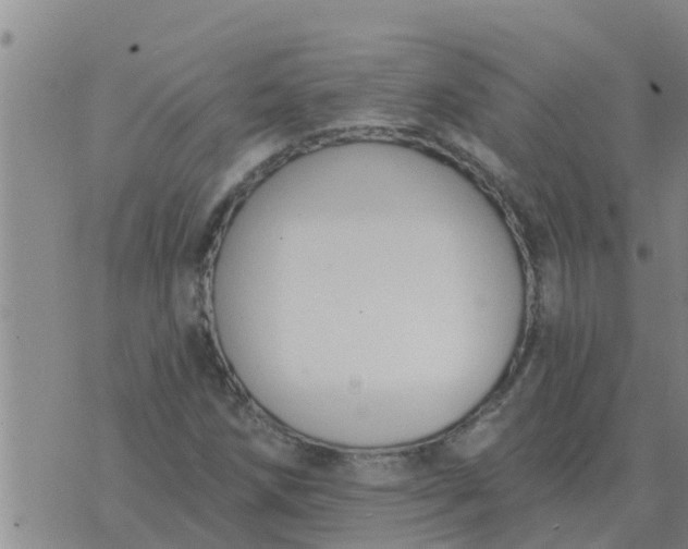 X0000074341258200609082048