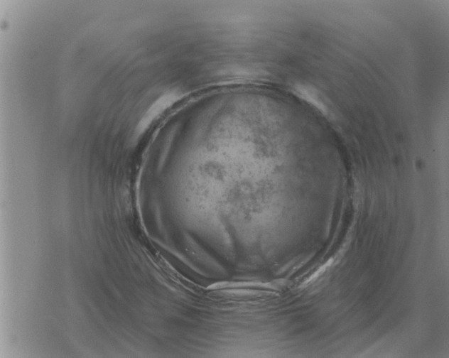 X0000074341259200609082048