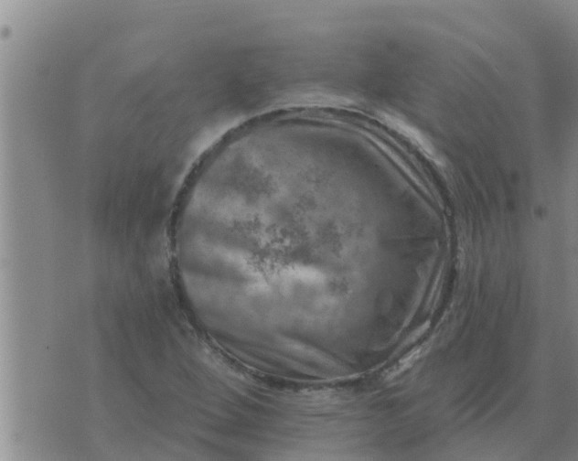 X0000074341264200609082048