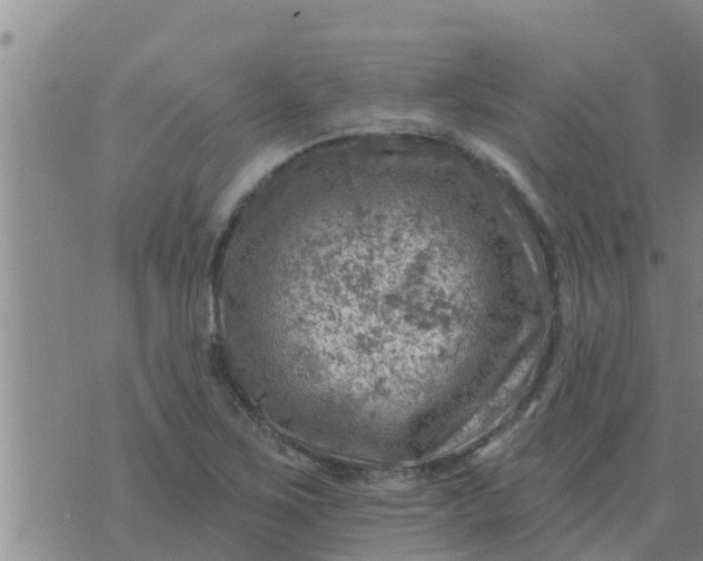 X0000074341267200609082048