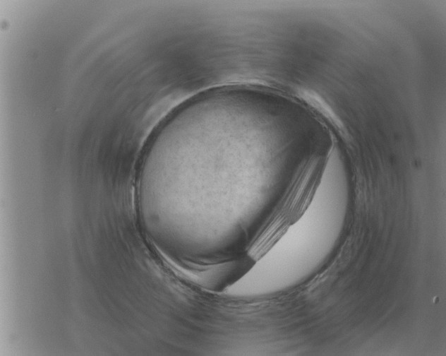 X0000074341268200609082048