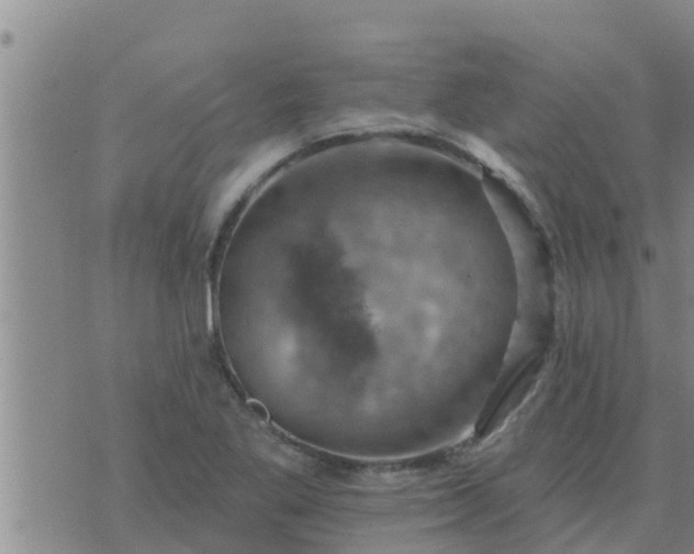 X0000074341269200609082048