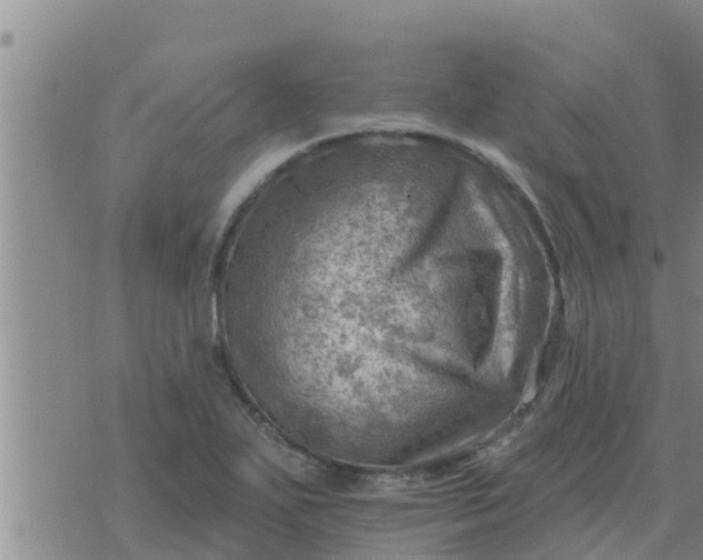 X0000074341271200609082048