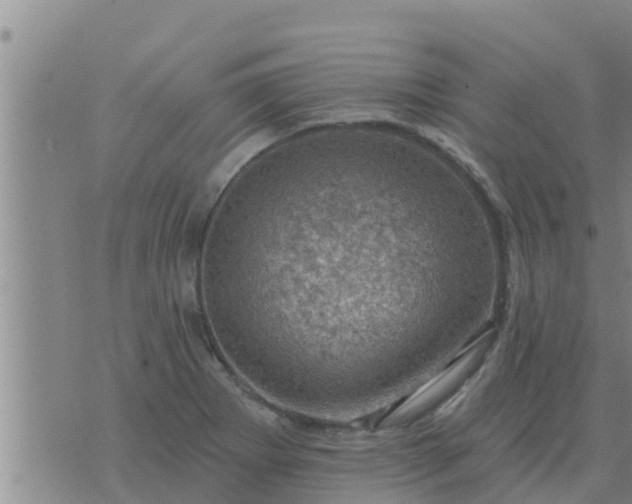 X0000074341273200609082048