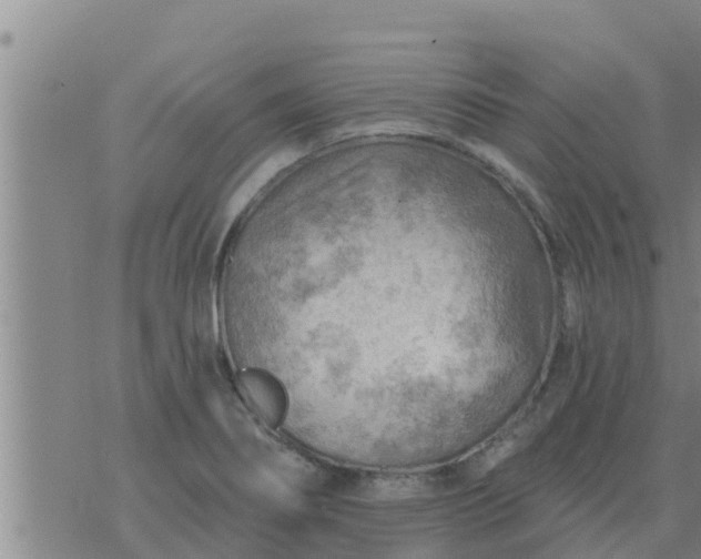 X0000074341274200609082048