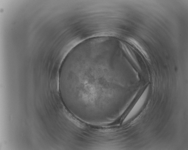 X0000074341276200609082048