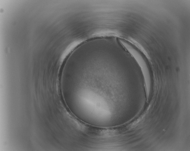 X0000074341277200609082048