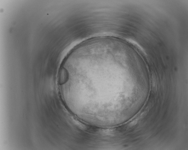 X0000074341278200609082048