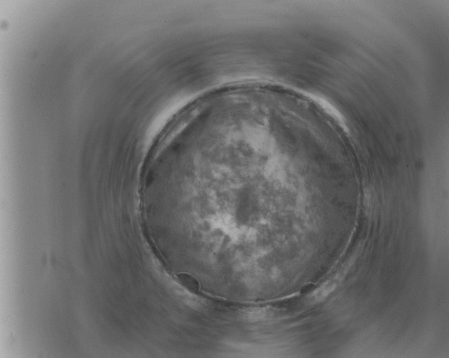 X0000074341279200609082048