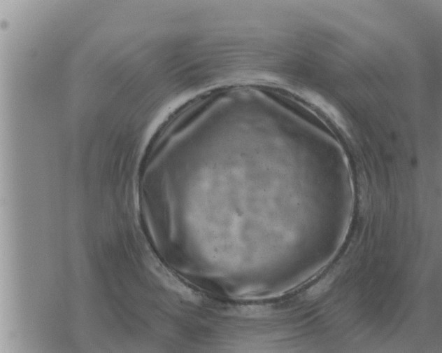 X0000074341280200609082048