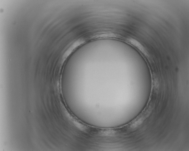 X0000074341282200609082048