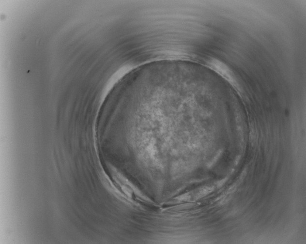 X0000074341283200609082048