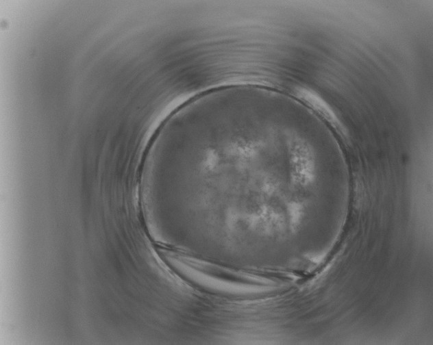 X0000074341284200609082048