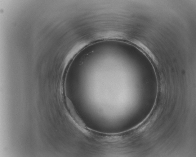 X0000074341285200609082048