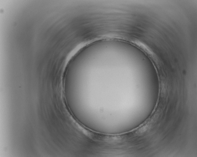 X0000074341286200609082048