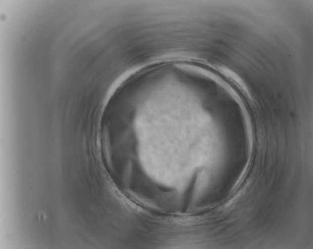 X0000074341288200609082048