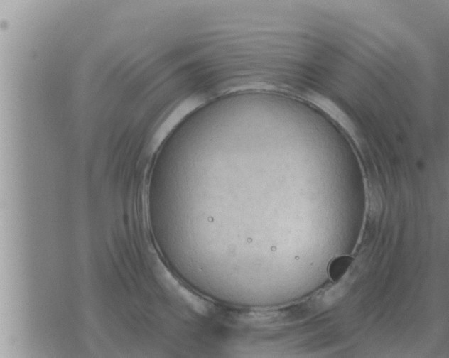 X0000074341290200609082048