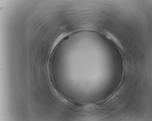 X0000074341291200609082048