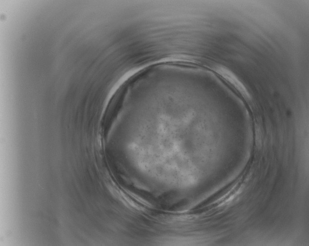 X0000074341292200609082048