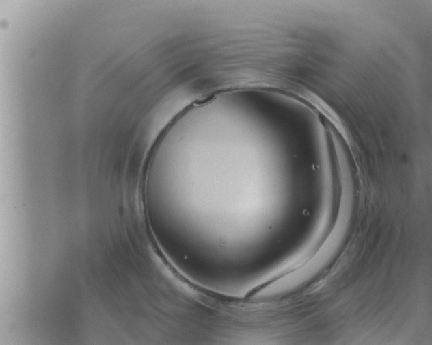 X0000074341293200609082048