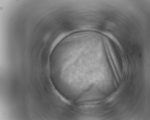 X0000074341294200609082048