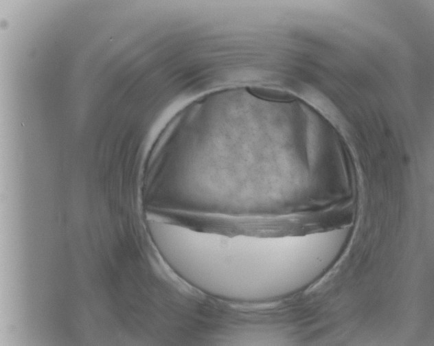 X0000074341296200609082048