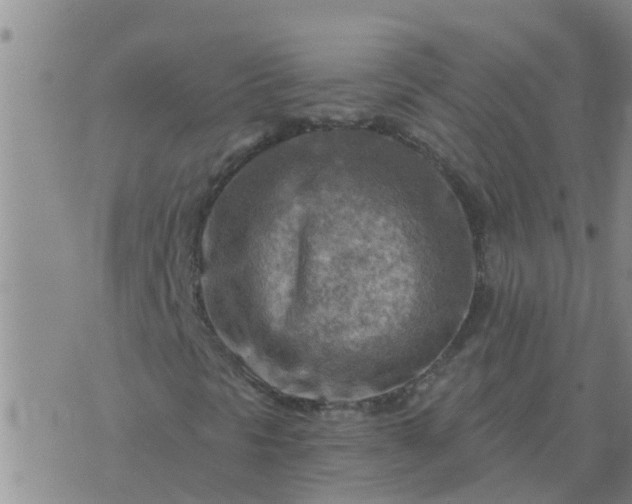 X0000074341297200609082047