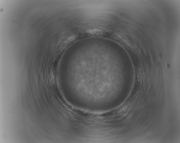 X0000074341298200609082047