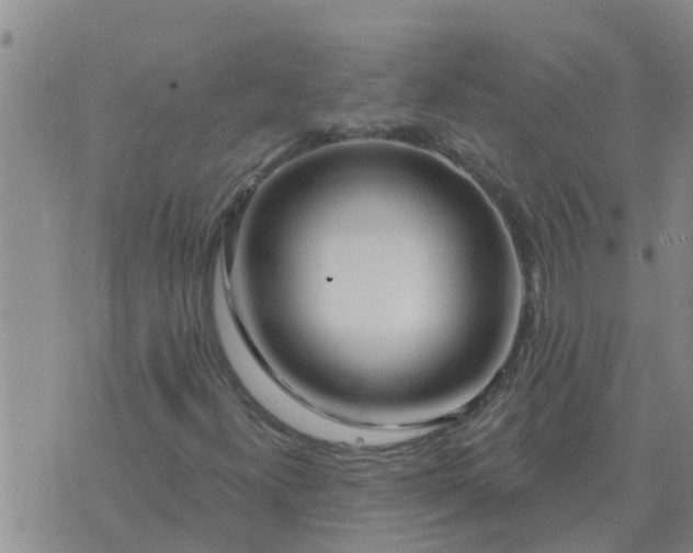 X0000074341300200609082047