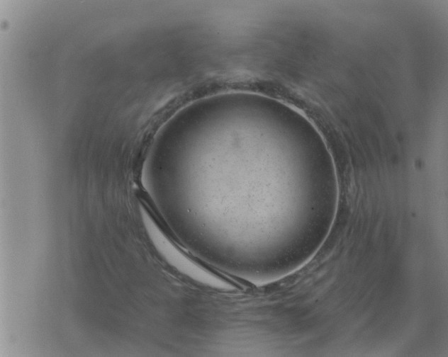 X0000074341301200609082047