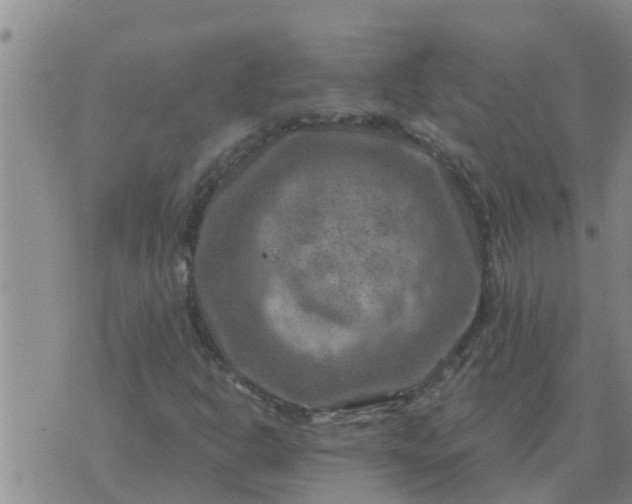 X0000074341302200609082047