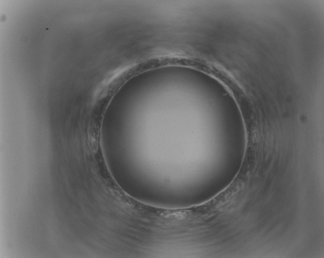 X0000074341303200609082047