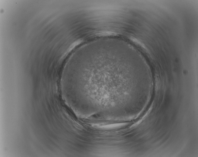 X0000074341305200609082047