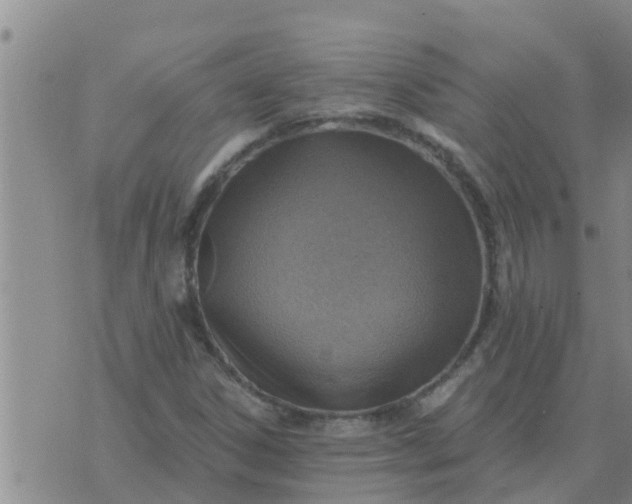 X0000074341306200609082047