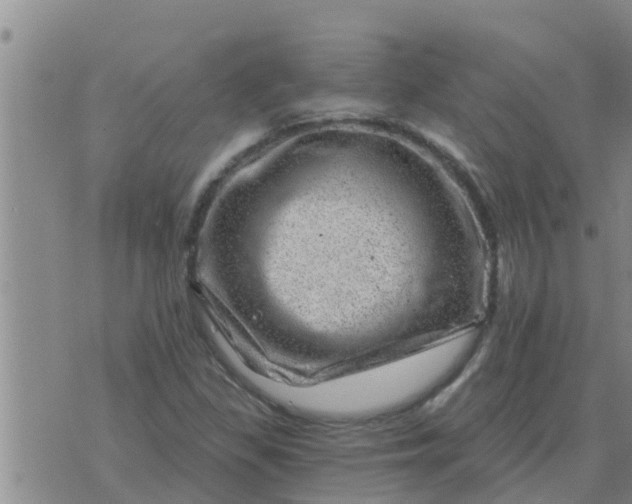 X0000074341309200609082047